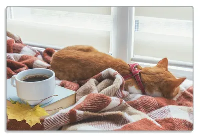 Produktbild von Wallario Frühstücksbrettchen aus Glas 20 x 30 cm mit rutschfesten Füßen, Motiv Schlafende Katze beim Kaffeekränzchen