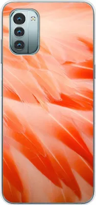 Produktbild von König Design Hülle kompatibel mit Nokia G11 Kunststoff Soft Handyhülle - Handy Case Flamingo Federn