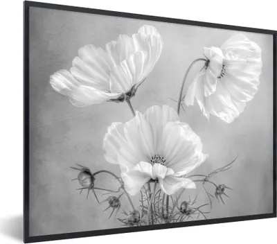 Produktbild von MuchoWow® Gerahmtes Poster Stilleben - Blumen - Schwarz und weiß - Mohn - Botanisch 80x60 cm - Poster mit Schwarzem Bilderrahmen Wandposter Rahmen Foto Bilder - Schwarzem - Mit Gestell