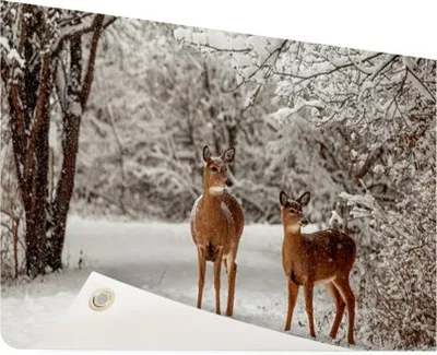 Produktbild von Gartenposter - 120x80 cm - Hirsch im Schnee  - Modernes WaldTierposter Bilder - Wilde Tierposter