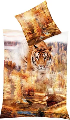 Produktbild von JACK by Kaeppel Mako Satin Digitaldruck Bettwäsche 2 tlg. Tiger Raubkatze Wald Wild Ocker Herbst Orange, Größe:155x220cm Bettwäsche