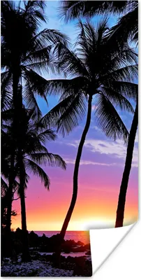 Produktbild von MuchoWow® Poster Eine Silhouette von Palmen während eines Sonnenuntergangs auf Hawaii 80x160 cm - Kinderzimmer
