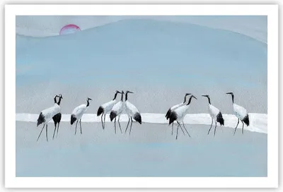 Produktbild von Poster - Poster ohne Rahmen - Vögel Kraniche Natur - 91,5x61 cm - Wand Bild - Wanddeko - Wandbilder - Kunstposter - Wandposter - Bilder - Kunstdruck - Wanddekoration - Wandbild - P2XAA91x61-4921