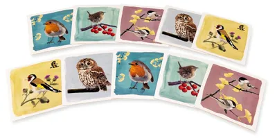 Produktbild von Vogelzubehör für Wildvögel – Futterstellen, Nistkästen und Pflegeartikel