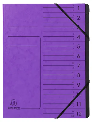 Immagine prodotto di EXACOMPTA 541208E Organizzatore 12 scomparti A4 in cartone viola