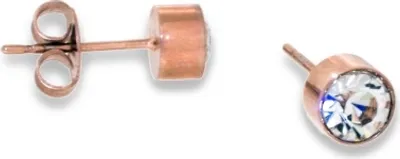 Produktbild von CEM Titan Ohrschmuck CT5-223