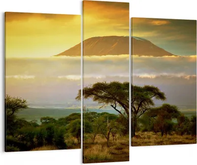Produktbild von Bild auf Leinwand - Leinwandbild - Safari Tierwelt Berg Kenia - 95x80cm - Wand Bild - Wanddeko - Leinwanddruck - Bilder - Kunstdruck - Wanddekoration - Leinwand bilder - Wandkunst - CB95x80-3170