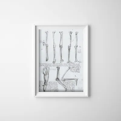 Produktbild von Poster - Canvas - Leinwand - 21 cm x 29,7 cm - Fotoposter - Leinwandkunst - Da Vinci Beinknochen