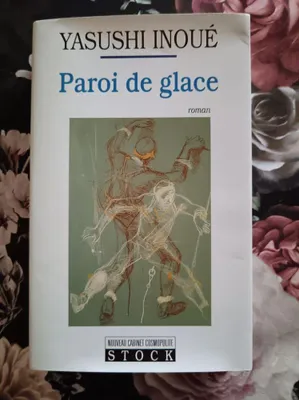 Image de Paroi de glace