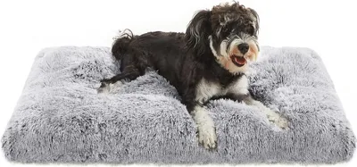 Produktbild von FEANDREA Hundebett, Hundekissen, flauschige Hundematte, langer Plüsch, 80 x 50 cm, weiche Füllung, waschmaschinenfest, Hundekorb, multifunktional,