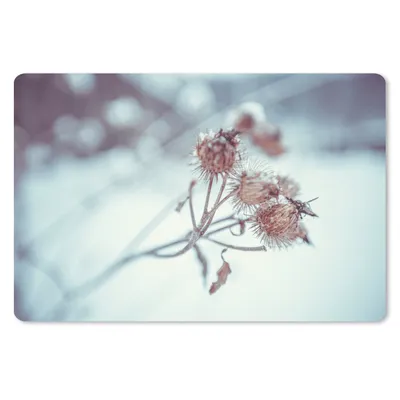 Produktbild von MuchoWow® Schreibtischunterlage Pflanzen - Winter - Schnee - Natur 60x40 cm - XXL Mauspad - Großes Mauspad