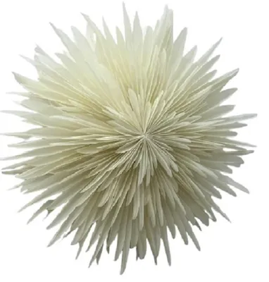Only Natural – Papier-Lampenschirm – Weißgrau – 60 cm – Ansicht 1