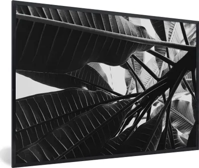 Produktbild von MuchoWow® Gerahmtes Poster Palmenblatt - Tropisch 90x60 cm - Poster mit Schwarzem Bilderrahmen Wandposter Rahmen Foto Bilder - Fotorahmen - Foto-Plakat