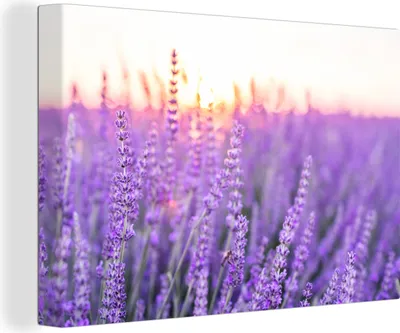 Produktbild von OneMillionCanvasses® - Leinwandbilder - 150x100 cm, Lavendel - Nahaufnahme - Lila - Blumen, Wandbilder Kunstdruck Wanddekoration - Foto auf Leinwand - Gemälde auf Holzrahmen