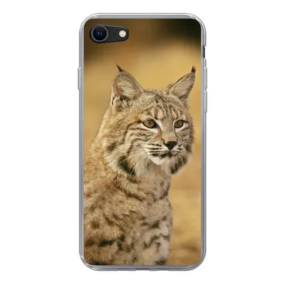 Produktbild von MuchoWow® Handyhülle Schutzhülle Hülle für iPhone SE 2020 Luchs - Braun - Gras Silikon Softcase Handy Hülle - Kartenbesitzer