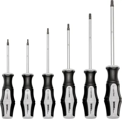 Produktbild von WGB Schraubenzieher Set - Schraubendreher Torx, S-2 Stahl verchromt - 6-teilig TX10-40