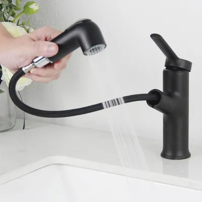 Produktbild von Waschtischarmatur Bad Schwarz, Einhebelmischer mit Brause, 2 Wasserstrahlarten