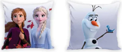 Produktbild von Disney Eiskönigin 40x40 cm Samt Kissenbezug