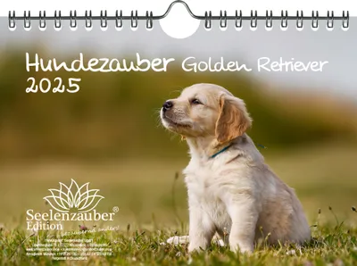 Produktbild von Hundezauber Golden Retriever DIN A5 Kalender für 2025 Welpen und Hunde - Seelenzauber