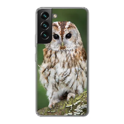 Produktbild von MuchoWow® Handyhülle Schutzhülle Hülle für Samsung Galaxy S22 Braune Eule sitzt auf einem Baum Silikon Softcase Handy Hülle - Mobiltelefonhülle