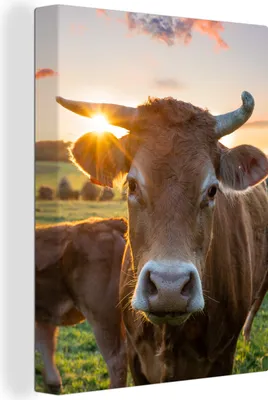 Produktbild von MuchoWow® - Leinwandbilder - Kühe - Sonne - Wiese - Landleben, Wandbild, Wanddeko Bilder Wohnzimmer, 90x120 cm
