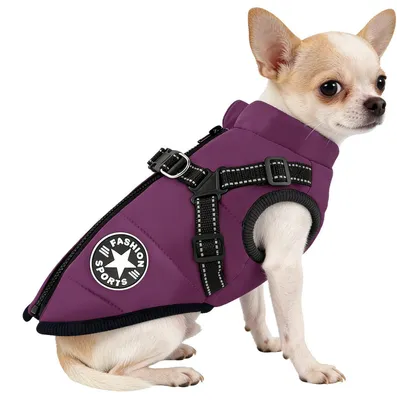 Image de Manteau imperméable pour chien avec pattes, manteau d'hiver chaud, veste pour chien avec harnais, couleur violette (M)