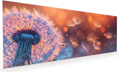 Produktbild von Küchenrückwand Spritzschutz Glas mit Motiv Pusteblumenglühen 40 x 40 cm