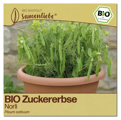 Produktbild von Samenliebe  Zuckerebse Samen | Norli - fadenlos & kompakt & frühe Sorte - samenfestes  Saatgut