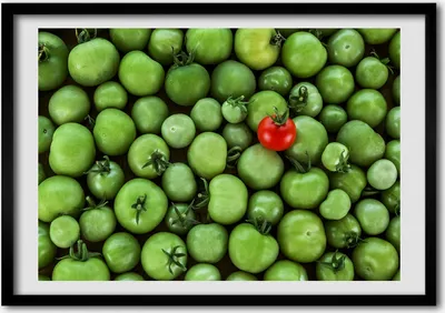 Produktbild von Bild - Bilderrahmen - 100 cm x 70 cm - MDF - Rahmen - Foto - Wandkunst reife Tomate