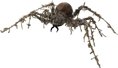 Obrázek produktu pro Spider Halloween Brown 60 x 43 cm