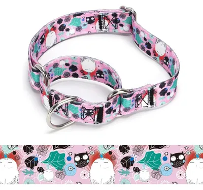Zdjęcie produktu dla Obroża dla psa typu Martingale, nylonowa, regulowana, rozmiar M: 36-45 cm, model A85NO9