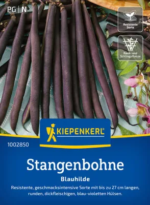 Artikelbild 2 von 'Stangenbohne Blauhilde' aus der Kategorie Stangenbohnensamen