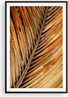 Produktbild von Gerahmtes Poster - Schwarzer Rahmen - Orange Blatt Tropisch - 61x91,5 cm - Wand Bild - Wanddeko - Wandbilder - Kunstposter - Wandposter - Bilderrahmen - Bilder - Kunstdruck - P2BPA61x91-4876