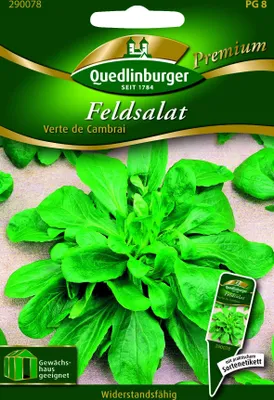 Produktbild von Feldsalat, Verte de Cambrai