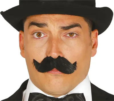 Imagen del producto de Schnauzer de bigote  para hombre