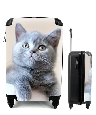 Produktbild von MuchoWow® Koffer Handgepäck Trolley Rollkoffer Kleine Reisekoffer mit 4 Rollen - Porträt einer Kurzhaarfrisur - Cabin Size < 55x40x23 cm & 55x40x20 cm - Fotokoffer - Kabinenkoffer - Boardgepäck - Reise-Box - Reisekoffer - Reisegepäck - Koffer mit Bild - Trolley für Kinder