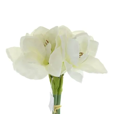 Produktbild von GASPER Amaryllis - Ritterstern Weiß 32 cm 3er Bund - Kunstblumen