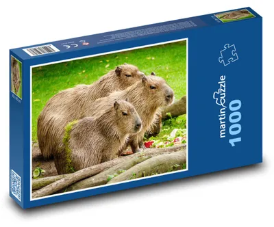 Zdjęcie produktu dla Puzzle 1000 Rodzinna sielanka kapibar - martinpuzzle