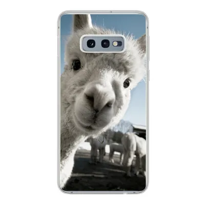 Produktbild von MuchoWow® Handyhülle Schutzhülle Hülle für Samsung Galaxy S10e Alpaka - Weiß - Tier Silikon Softcase Handy Hülle - Handy