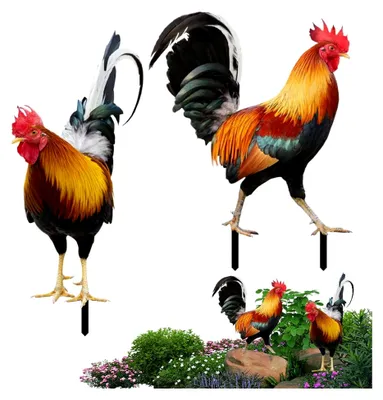 Produktbild von 2 Stück Metall Hühner Statue, realistische Gartenkunst - Frühlings Tierdekor - Skulpturen für den Außenbereich