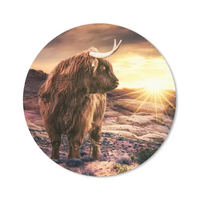 Produktbild von MuchoWow® Mauspad Mousepad Kuh - Schottischer Highlander - Steine 50x50 cm - Mousepads - Maus Mat - Pad - Mausunterlage - Vinyl