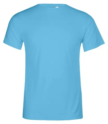 Produktbild von Promodoro - T-Shirt für Herren LT2913 (XL) (Atomblau)