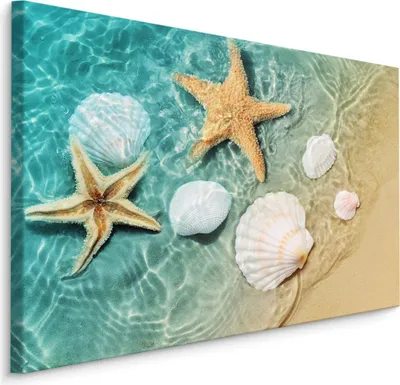 Zdjęcie produktu dla Obraz Dekoracja 3D do jadalni muszle rozgwiazdy plaża 70x50cm