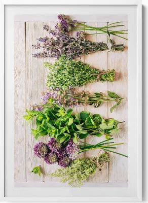 Produktbild von Pflanzen und Kräuter auf Brettern– Wandbild mit Rahmen – Gerahmtes Bild  – Wanddekoration – 70x100 cm –  Weiß Rahmen