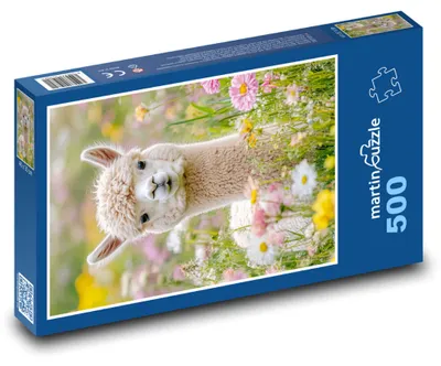Obrázek produktu pro Puzzle 500 Alpaka na květinové louce - martinpuzzle