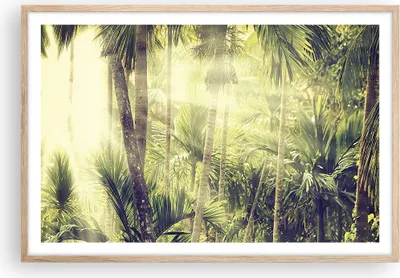 Produktbild von Gerahmtes Poster - Rahmen in heller Eiche - Morgendämmerung Dschungel Palmen - 91,5x61 cm - Wand Bild - Wanddeko - Wandbilder - Kunstposter - Wandposter - Bilderrahmen - Bilder - P2NAA91x61-4450