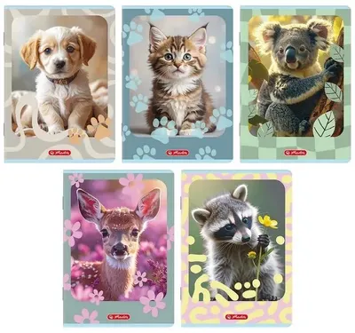 Zdjęcie produktu dla Zeszyt A5/32K kratka Animals (10szt) HERLITZ