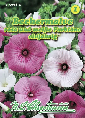 Produktbild von Bechermalve | Malvensamen von N.L. Chrestensen