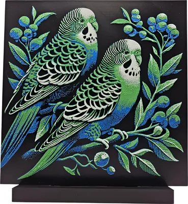 Produktbild von Wellensittich – Groß 25x25cm