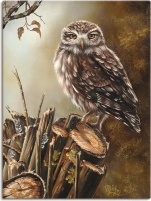 Produktbild von ARTland Leinwandbild Eule Größe: 45x60 cm
